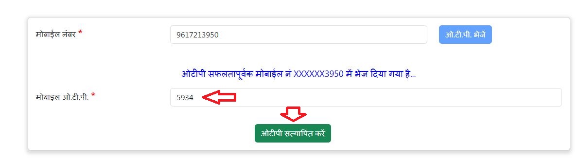 Berojgari Bhatta Online Kaise Karen